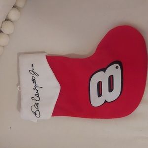 Dale Earnhardt stocking
